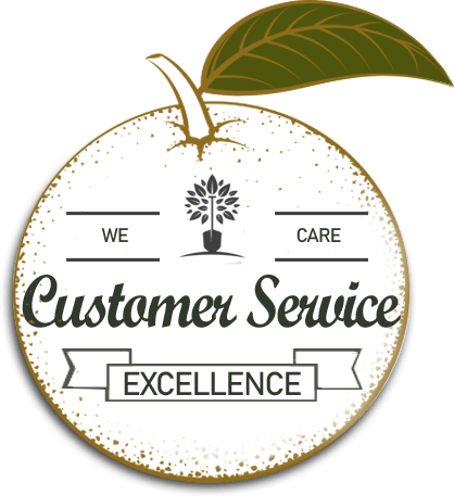 Customer Service Excellence